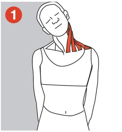Five stretches for the neck and shoulder