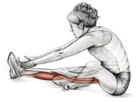 Six Types of Stretches and When You Should Use Them