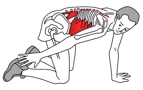 Five Stretches for the Trunk & Spine