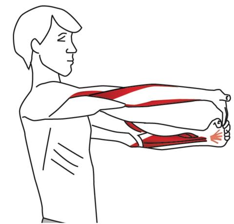 Five Stretches for Elbow & Wrist Pain