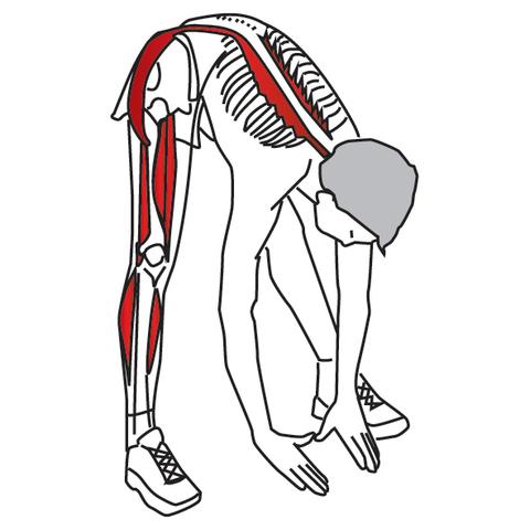 Stretching for Pain Relief and Rehabilitation - Hip and Thigh