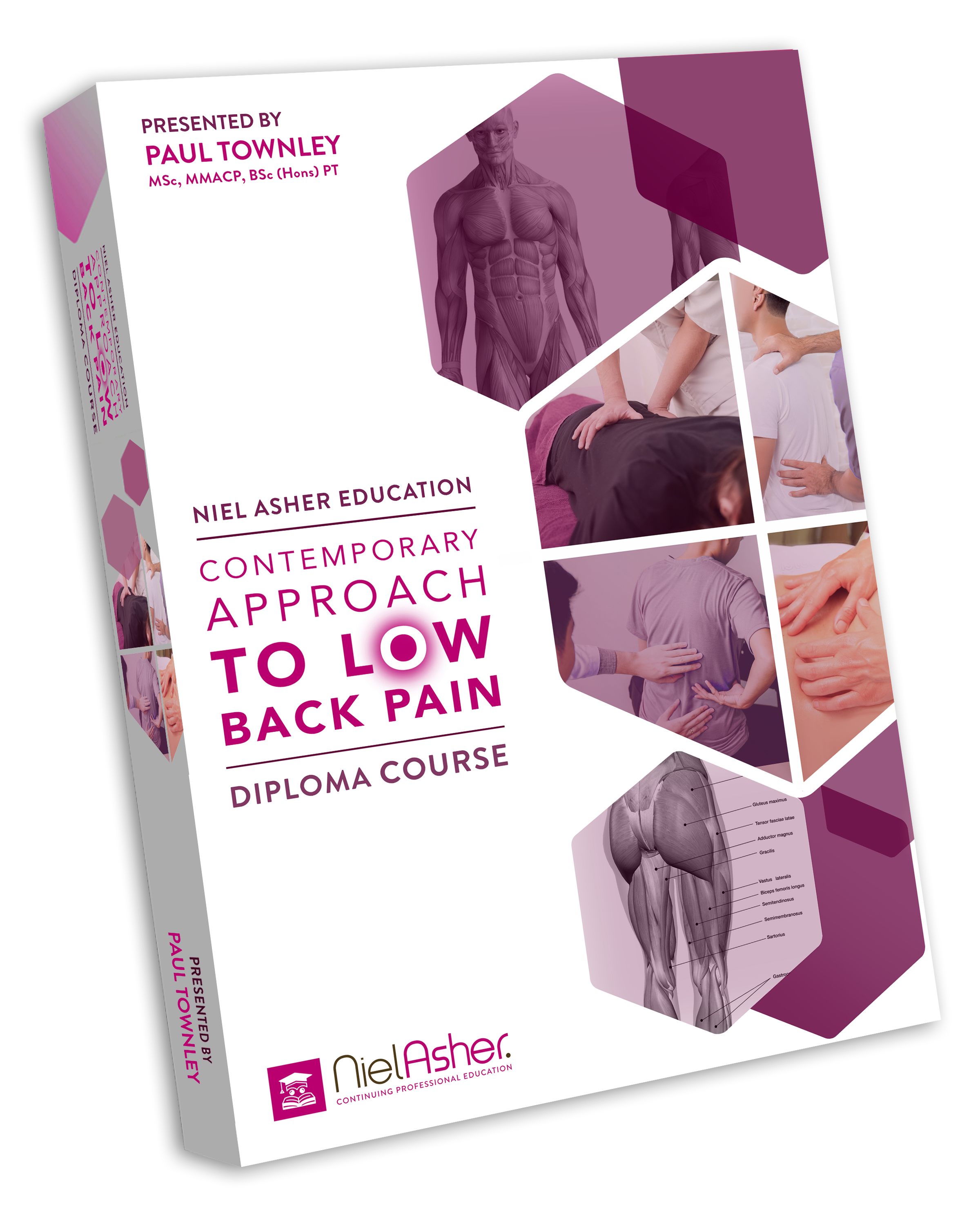 Contemporary Approach to Low Back Pain